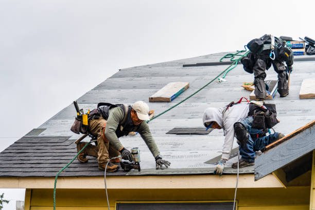 Professional Roofing technician working in Hunter, ND